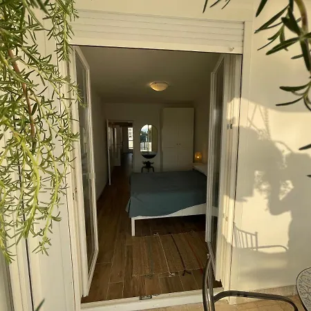 Dashing Oasis Задар