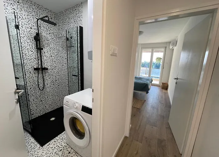 Dashing Oasis Ζαντάρ