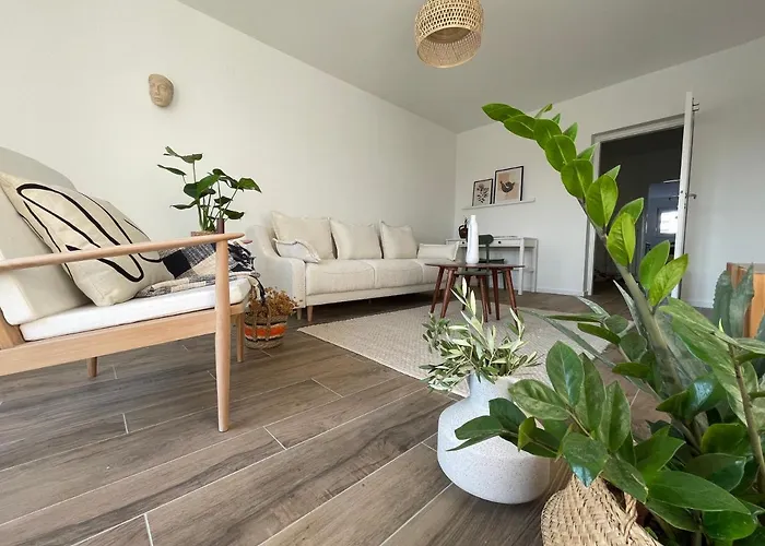 Dashing Oasis * Ζαντάρ