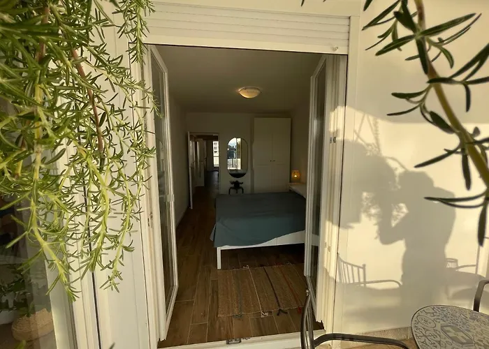 Dashing Oasis Ζαντάρ