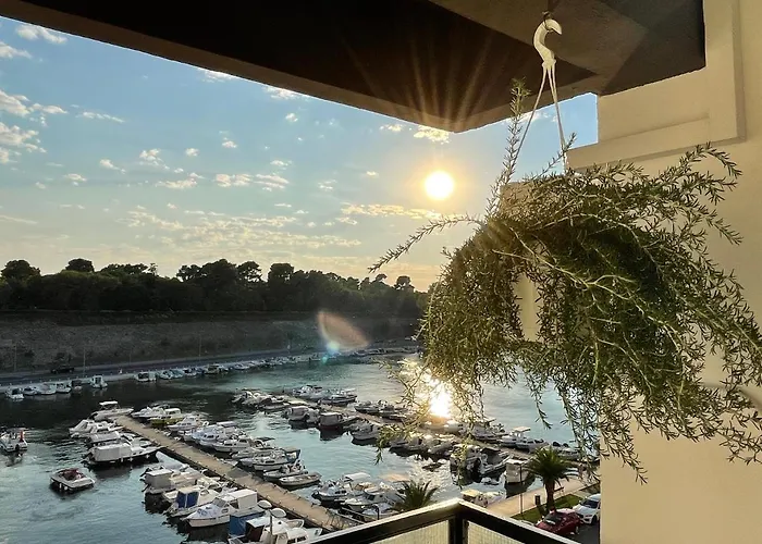 Dashing Oasis * Ζαντάρ