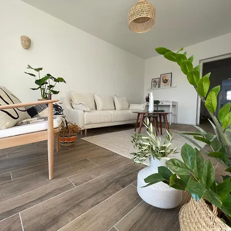 Dashing Oasis * 자다르