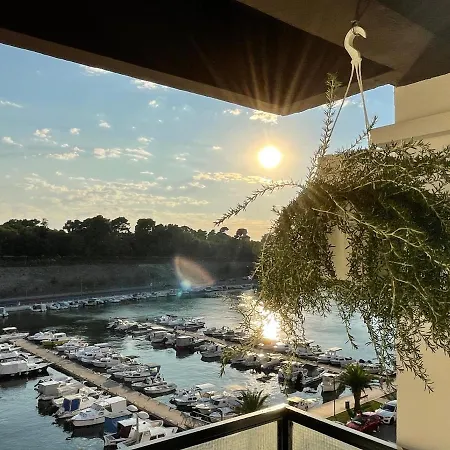 Dashing Oasis * 자다르