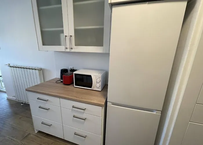 Dashing Oasis * Zadar